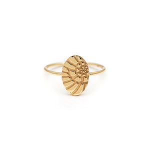 Minimalist solid 14k gold Nautilus statement ring. Every day fine jewelry